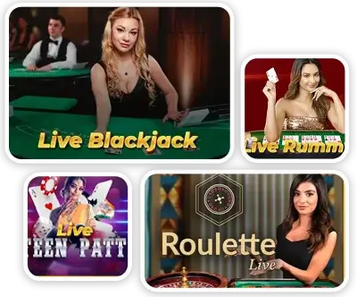 Large Scale Casino Software Provider